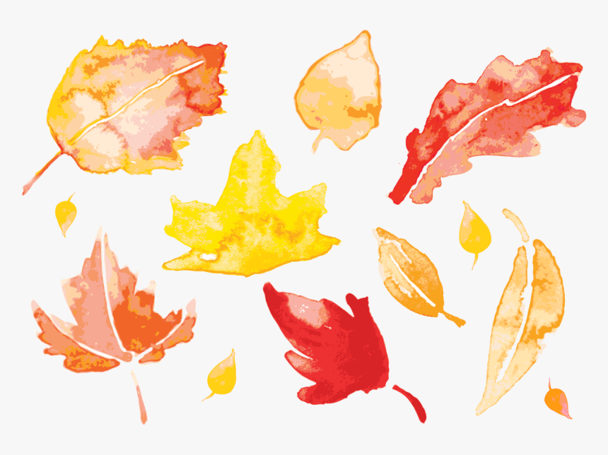 Fall Leaf Vector Png - Watercolor Fall Leaf Clip Art, Transparent Png, Free Download