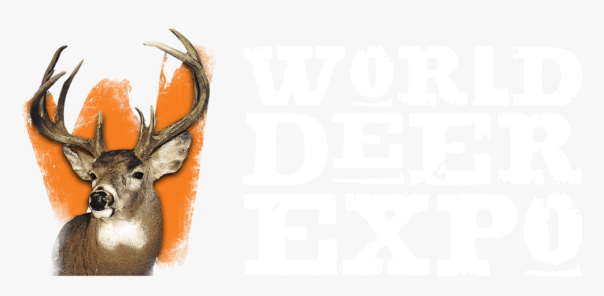 Logo - Elk, HD Png Download, Free Download