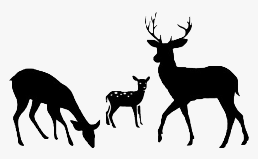 Deer Probiotics & Microbes - Svg Eat Sleep Hunt, HD Png Download, Free Download