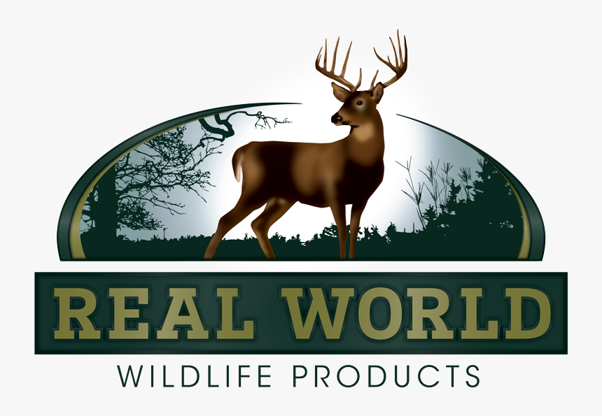 Real World Wildlife Products, HD Png Download, Free Download