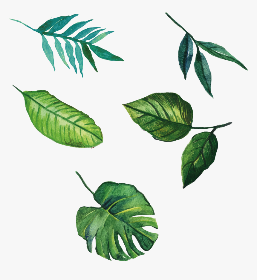 Euclidean Leaves Vector Leaf Hand-painted Free Download - Leaves Painting Png, Transparent Png, Free Download