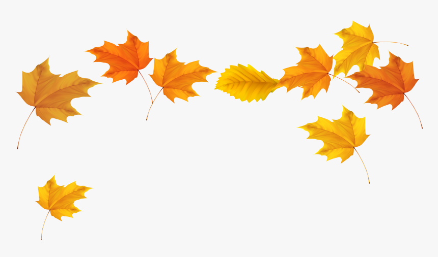 Clip Art Autumn Leaves Background - Falling Leaves No Background, HD Png Download, Free Download