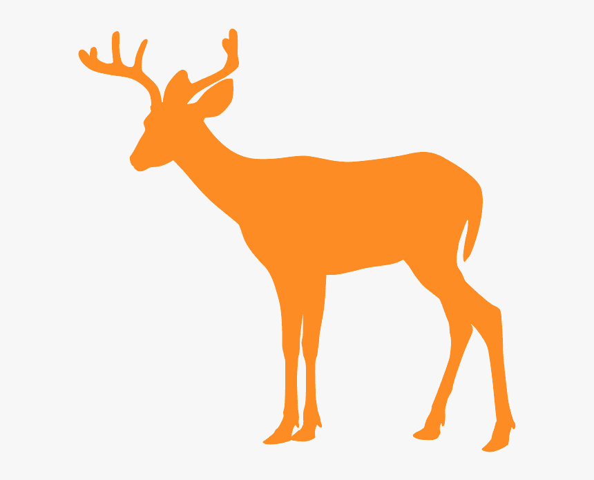 Whitetail Deer Deer Silhouette Clipart, HD Png Download, Free Download