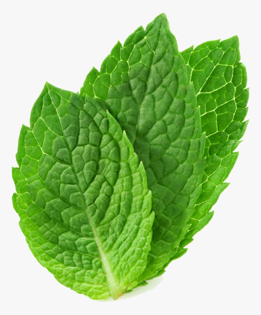 Peppermint Png, Transparent Png, Free Download