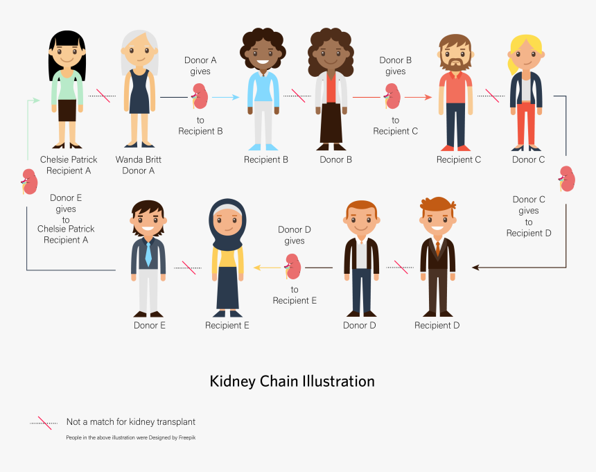 Illustration Of A Kidney Chain - 員工 滿意 度 調查, HD Png Download, Free Download