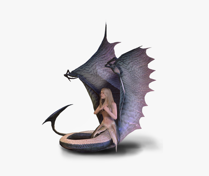 Witcher Wiki - Witcher Sirens, HD Png Download, Free Download