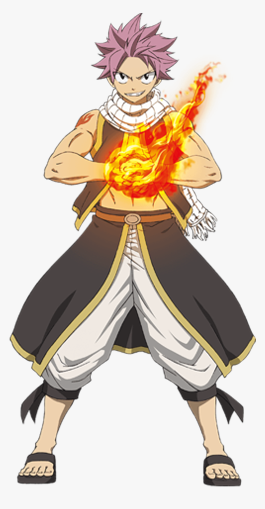 Transparent Salamander Clipart - Fairy Tail Natsu Png, Png Download, Free Download