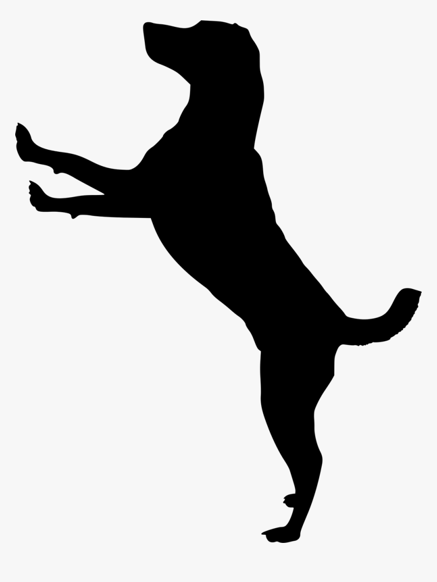 Puppy Labradoodle Cat Transparency Dog Houses - Jumping Dog Silhouette Clip Art, HD Png Download, Free Download