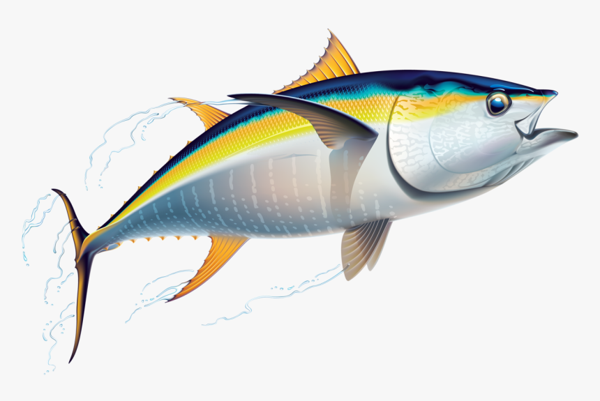 Transparent Fish Clipart - Tuna Clipart, HD Png Download, Free Download