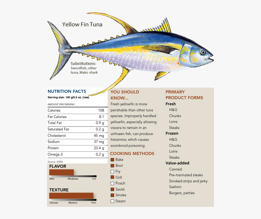 Transparent Tuna Fish Png - Salmon Atlantic Coho, Png Download, Free Download