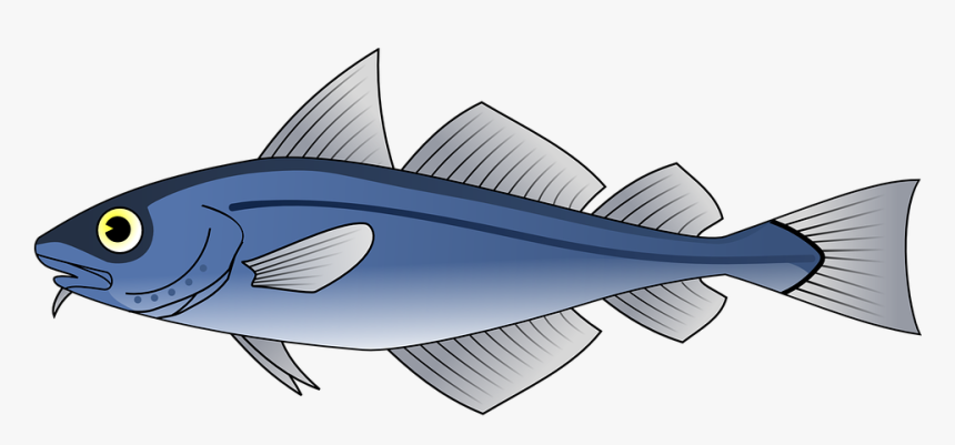 Fish, Tuna, Blue, Sea, Food, Seafood - Fish Respiratory System, HD Png Download, Free Download