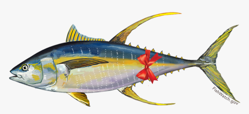 Tunabow - Pacific Yellowfin Tuna, HD Png Download, Free Download