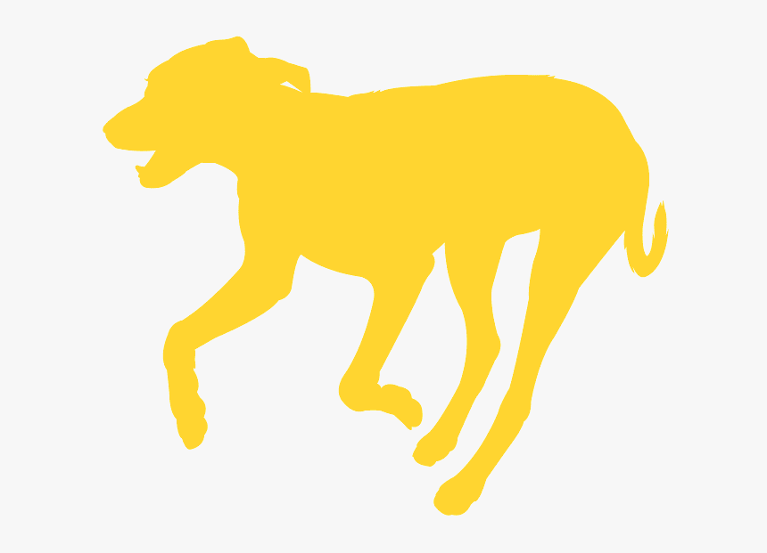 Dog, HD Png Download, Free Download