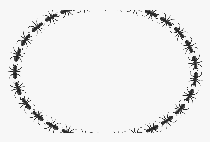 Transparent Ant Clipart - Transparent Png Gif Circle, Png Download, Free Download