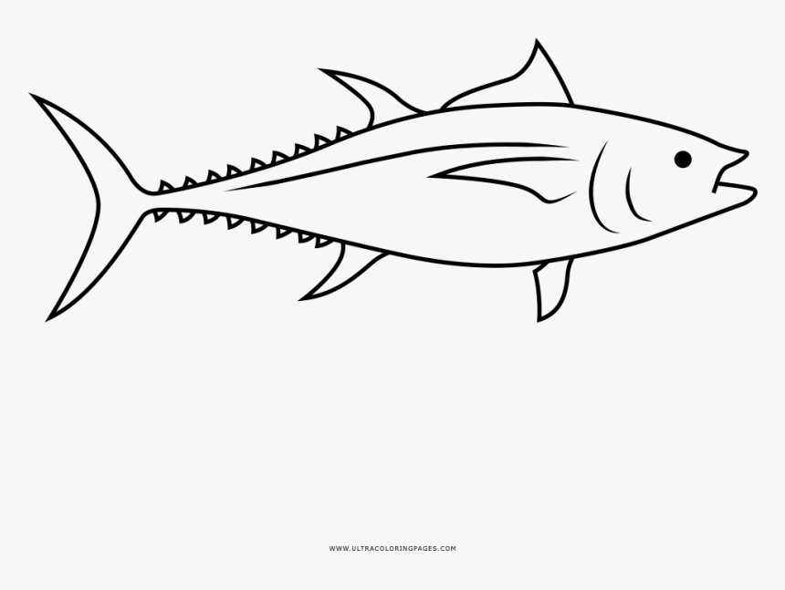 Tuna Coloring Page - Tuna, HD Png Download - kindpng