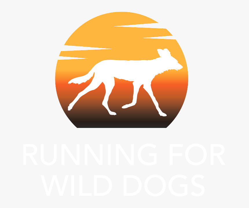 Running For Wild Dogs - Antelope, HD Png Download, Free Download