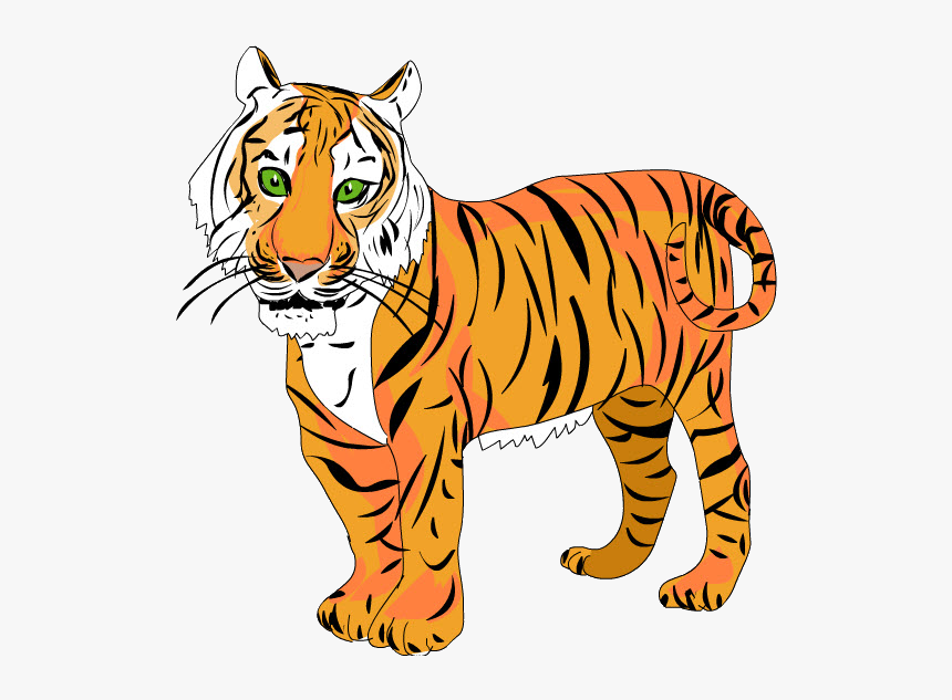 Tigre Png, Transparent Png, Free Download