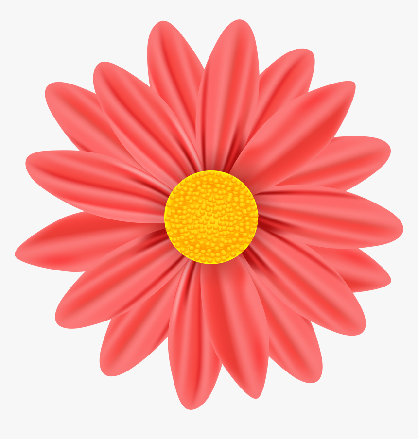 Daisy Png Red, Transparent Png, Free Download