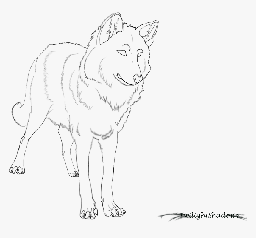 Wolf Line Art Free Base By Xxtwilightshadowsxx, HD Png Download, Free Download