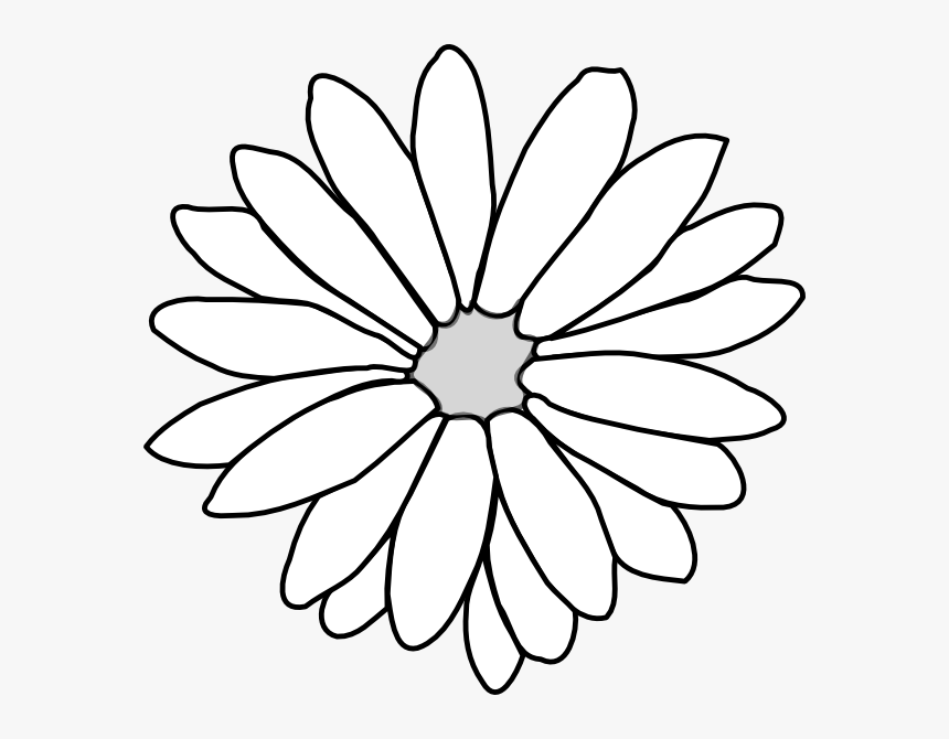 Aster Png, Transparent Png, Free Download