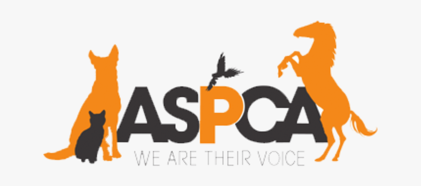 aspca crypto