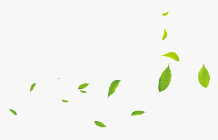 Leaf Green Download, HD Png Download, Free Download