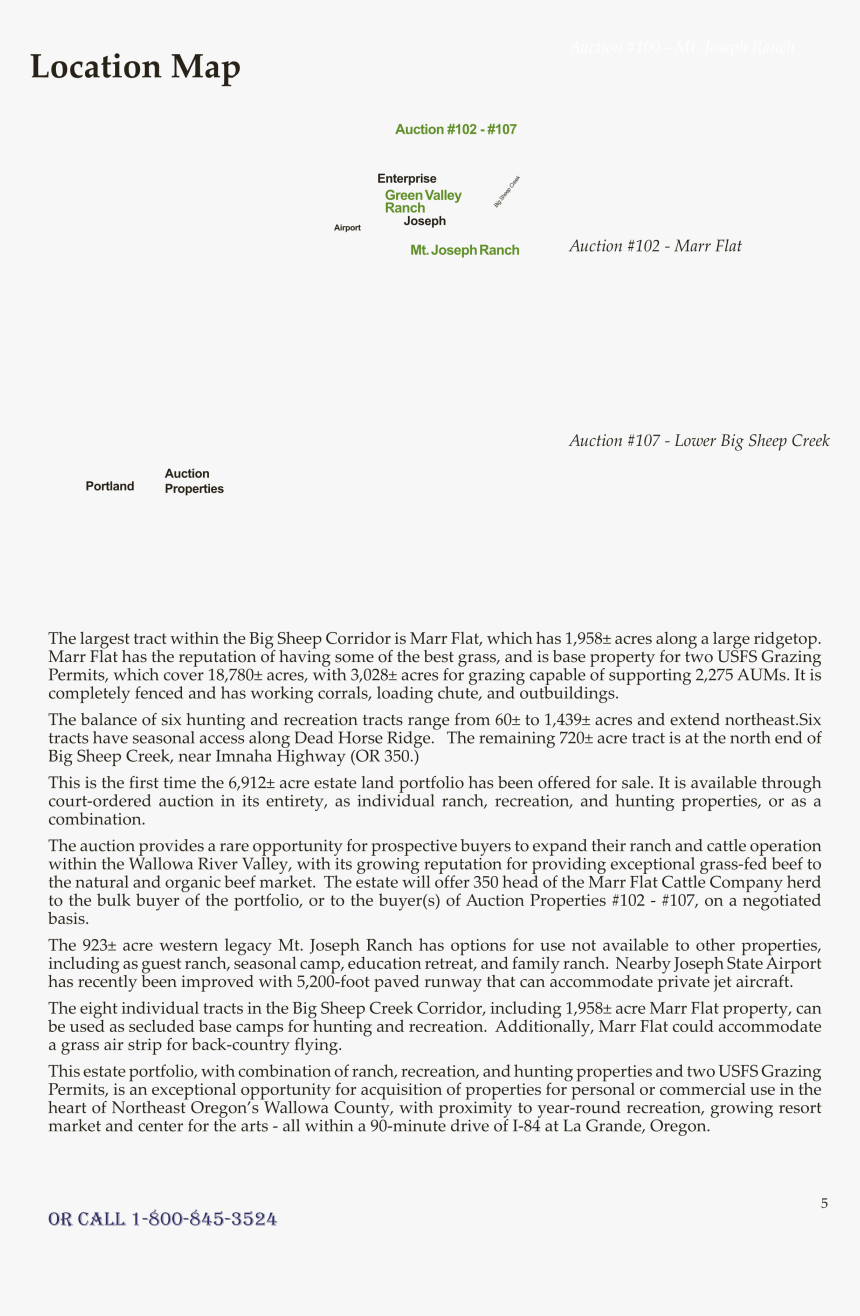 Auction Png, Transparent Png, Free Download