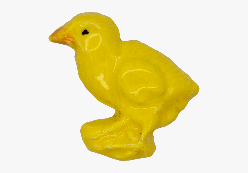 Baby Chicken Png, Transparent Png, Free Download