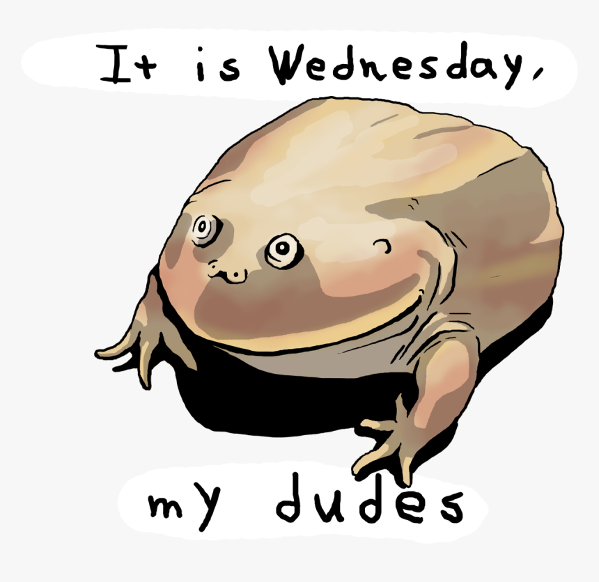 Wednesday Frog Png, Transparent Png, Free Download