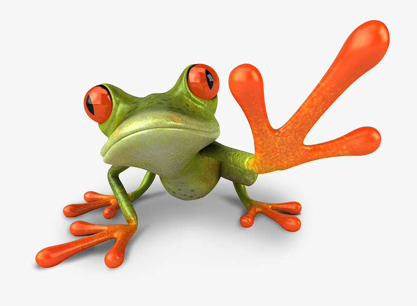 Frog Doing High Five, HD Png Download, Free Download