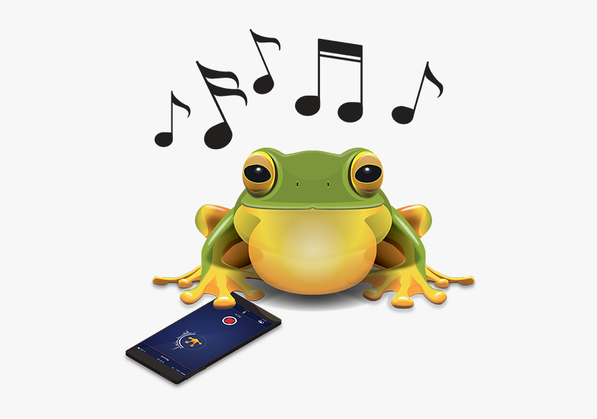 Wednesday Frog Png, Transparent Png, Free Download