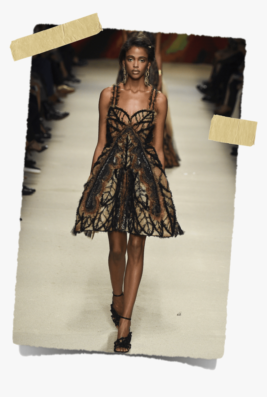 Fashion Show , Png Download, Transparent Png, Free Download