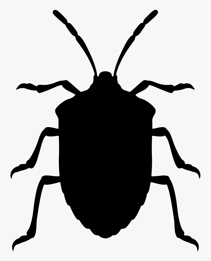 Stink Bug Insect Shape From Top View, HD Png Download, Free Download