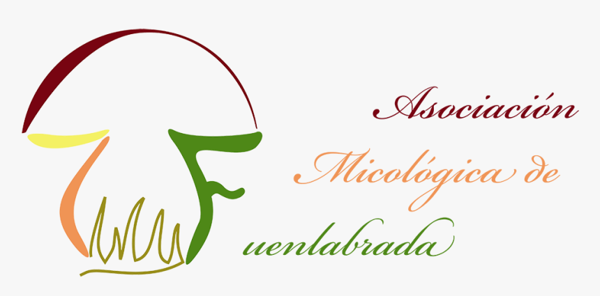 Portada, HD Png Download, Free Download