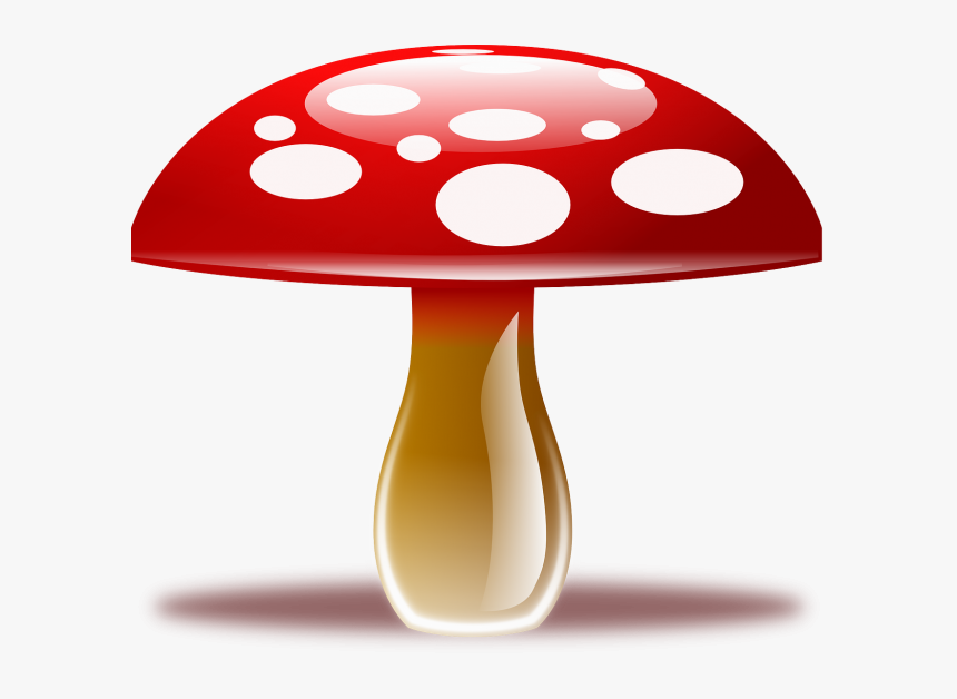 Setas Png, Transparent Png, Free Download