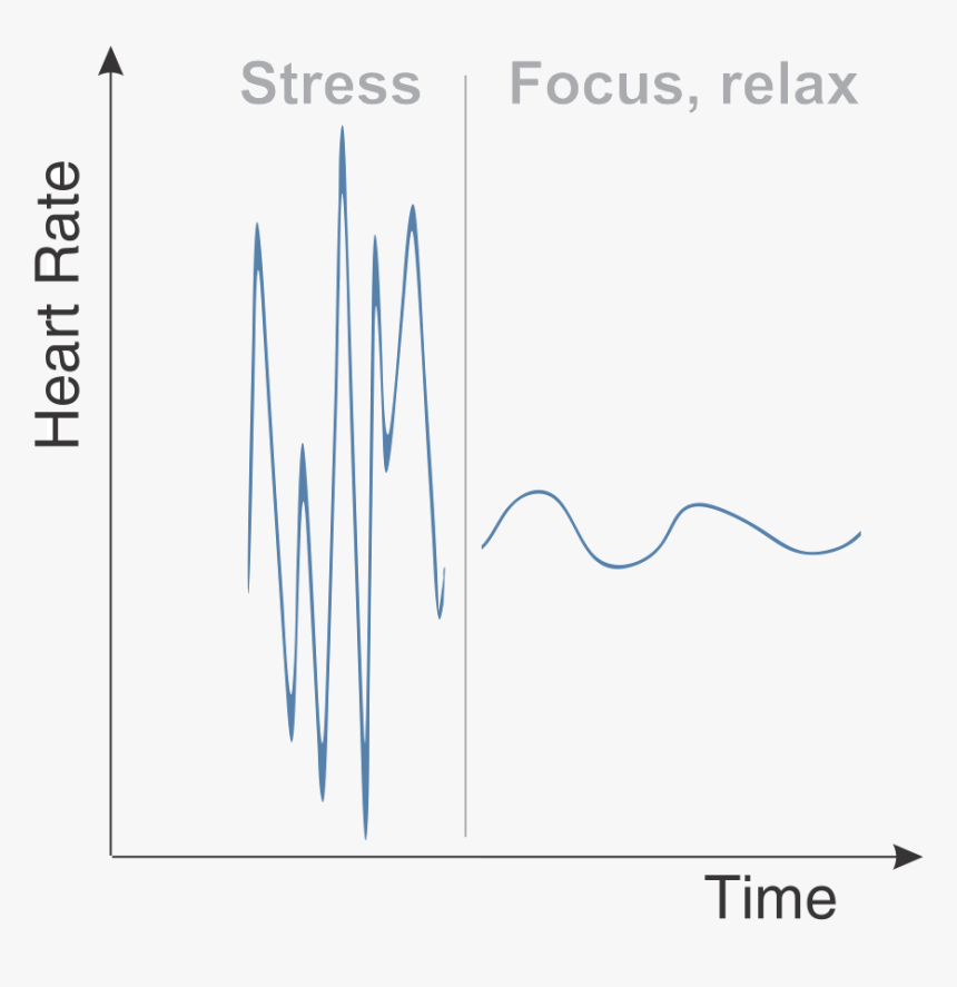 Heart Rate, HD Png Download, Free Download