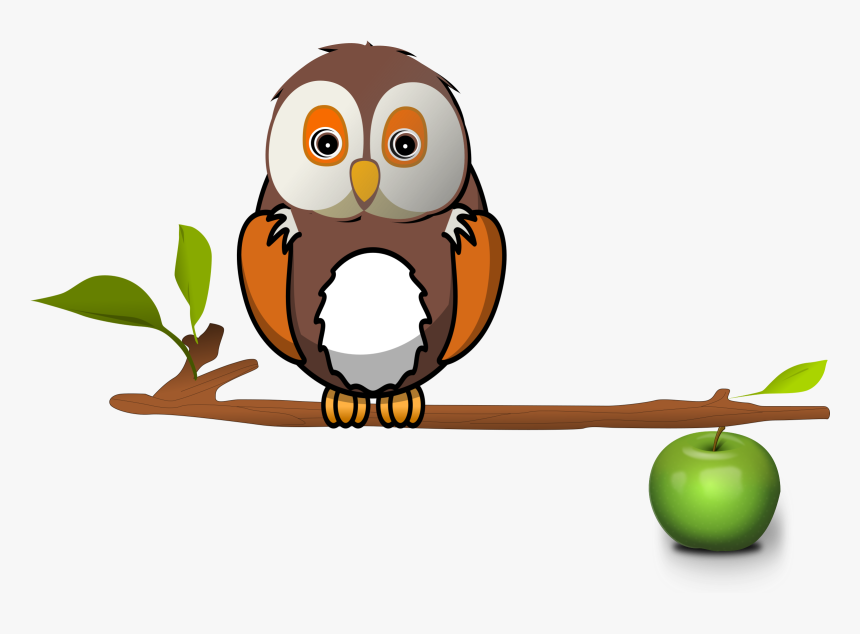 Owl On Branch Clip Arts, HD Png Download, Free Download