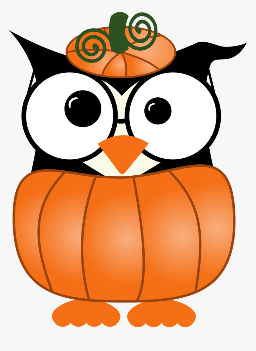 Transparent Owl Png Clipart, Png Download, Free Download
