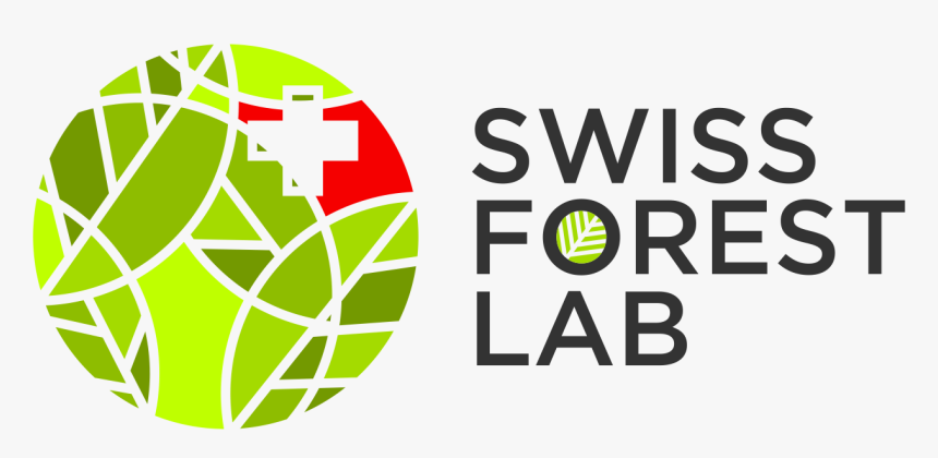 Transparent Swiss Flag Png, Png Download, Free Download