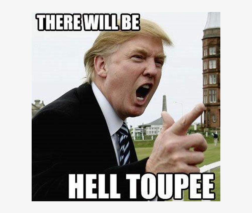 Donald Trump Toupee Png, Transparent Png, Free Download