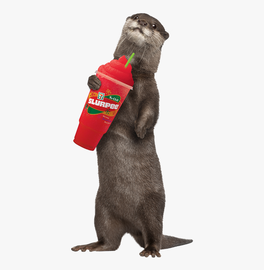 Slurpee Png, Transparent Png, Free Download