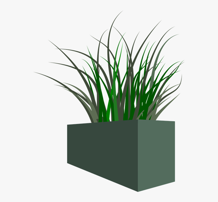 Pot, Grass, Plant, Weeds, HD Png Download, Free Download