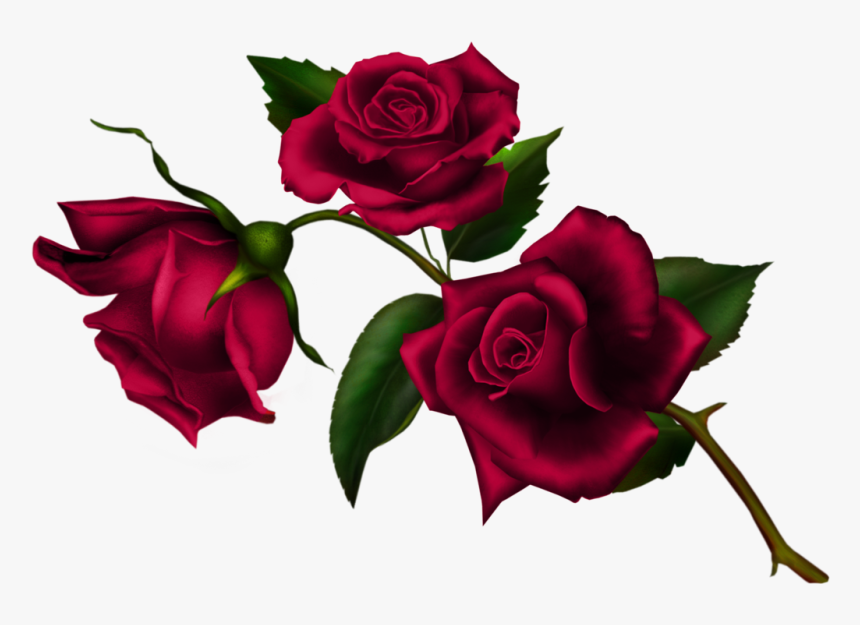 Rose Stem -1, HD Png Download, Free Download