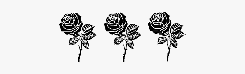 #roses #flowers #rose #blackrose #goth #gothic #emo, HD Png Download, Free Download