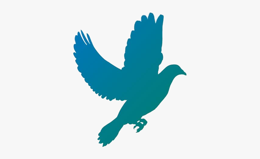 Transparent Flying Dove Vector, HD Png Download, Free Download