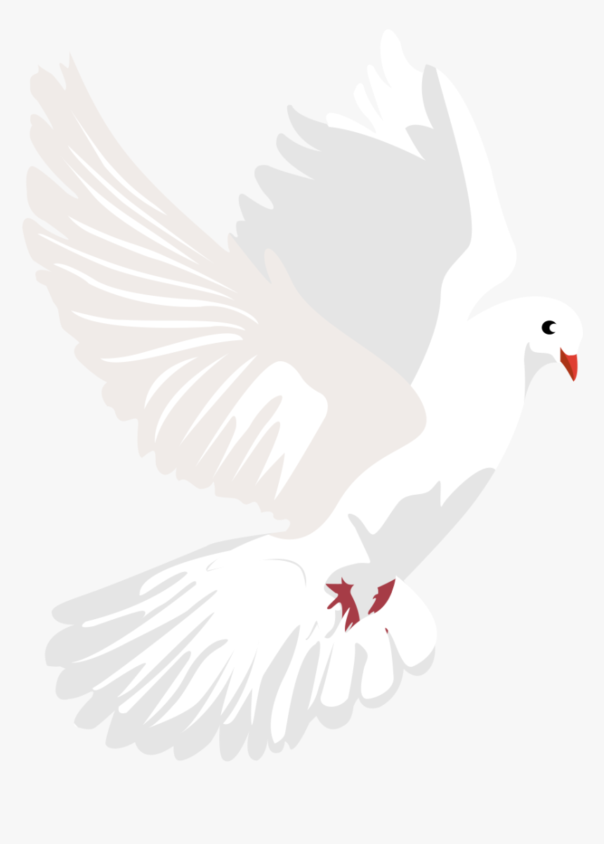 Dove Vector Png, Transparent Png, Free Download