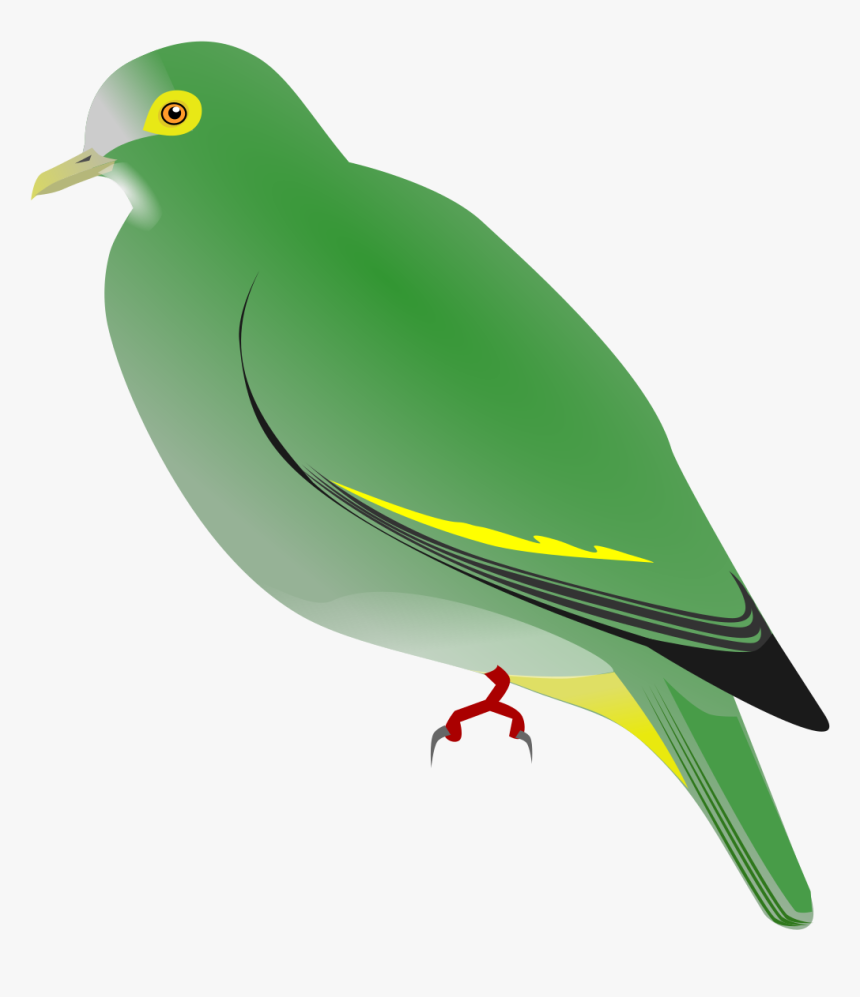 Dove Vector Png, Transparent Png, Free Download