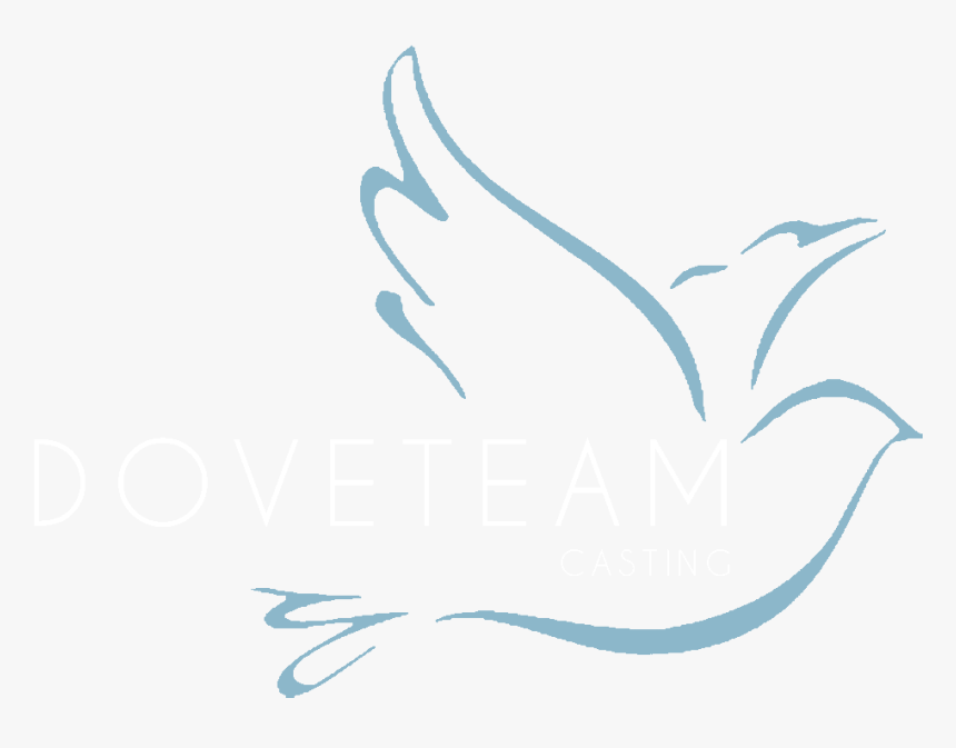 Dove Vector Png, Transparent Png, Free Download