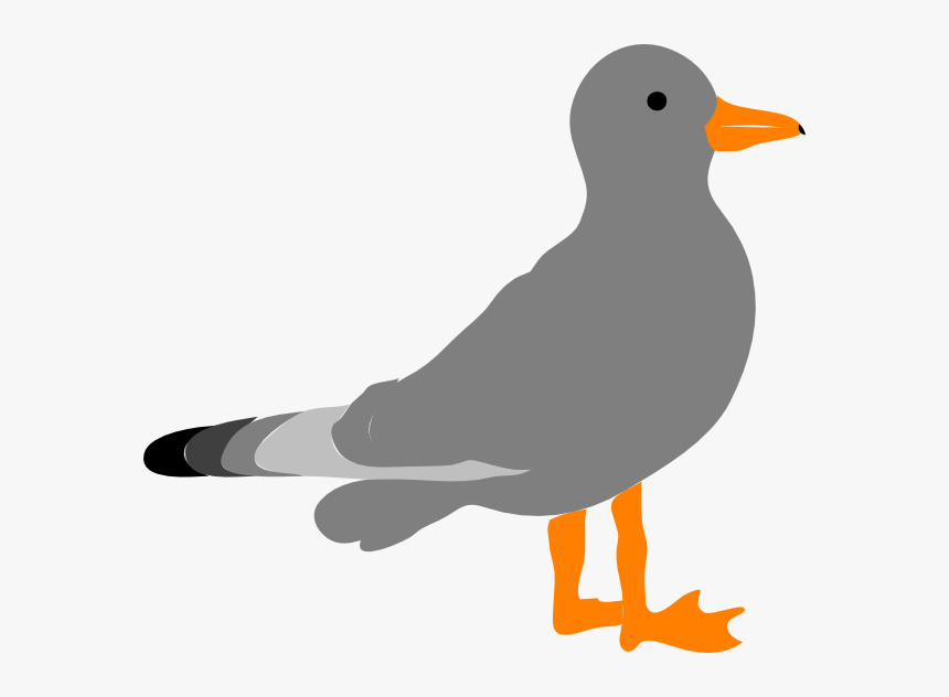 Cartoon Picture Of Seagull Cl, HD Png Download, Free Download