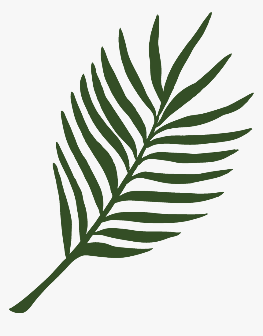 Animal Safari Fern Svg Cut File Hd Png Download Kindpng